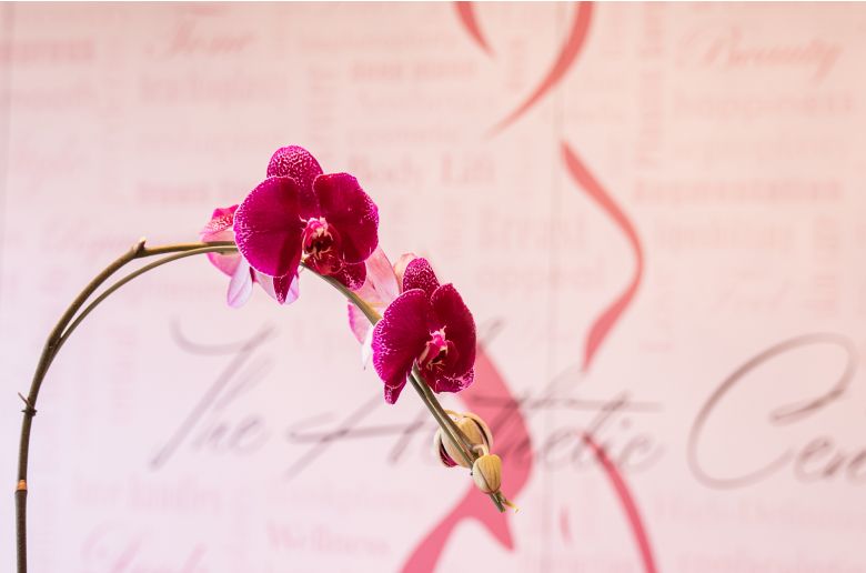 Pink orchids against a soft background.