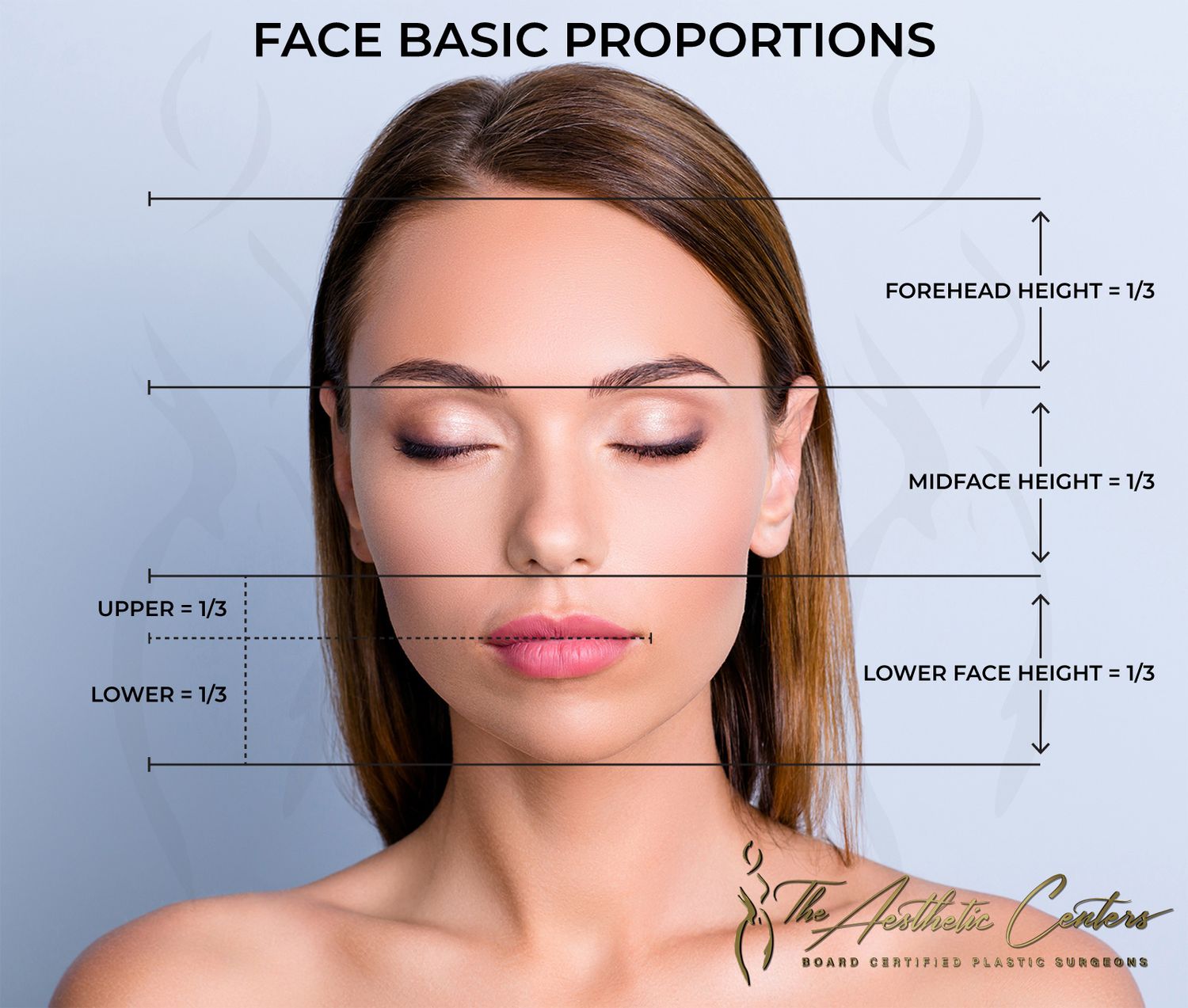 Face proportion diagram illustrating symmetrical facial features.